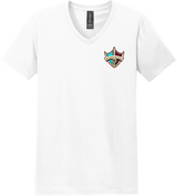 Delaware Ducks Softstyle V-Neck T-Shirt