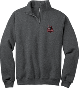 NJ Valkyries NuBlend 1/4-Zip Cadet Collar Sweatshirt