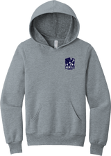 Howell Youth Sponge Fleece Pullover Hoodie