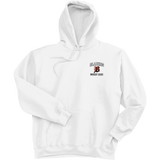 Philadelphia Blazers Ultimate Cotton - Pullover Hooded Sweatshirt