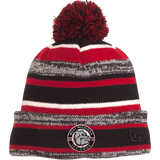 Ice Dogs New Era Sideline Beanie