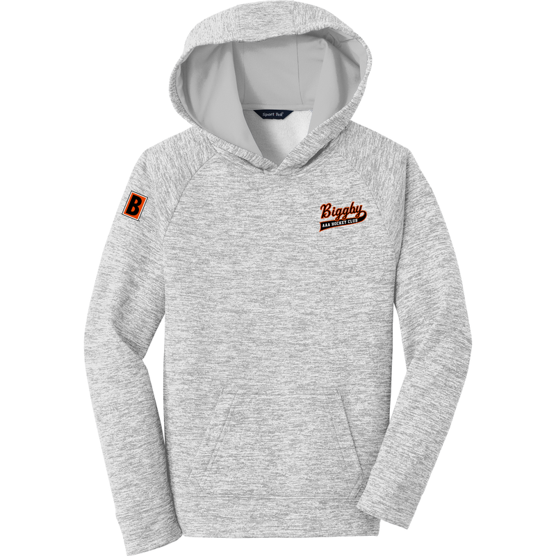 Biggby Coffee AAA Youth PosiCharge Electric Heather Fleece Hooded Pullover